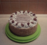 /album/fenykepgaleria/dscn8141-jpg1/