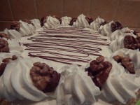 /album/fenykepgaleria/dscn8140-jpg1/