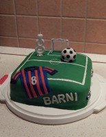 /album/fenykepgaleria/dscn8317f-jpg1/